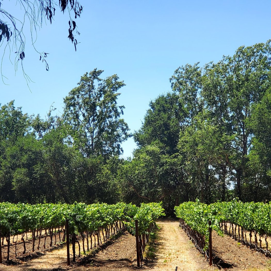 Stanly Ranch Area Public Trails 1