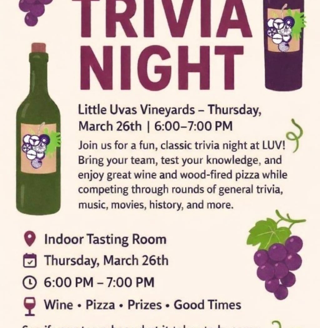 Think 'n Drink Trivia Night 1