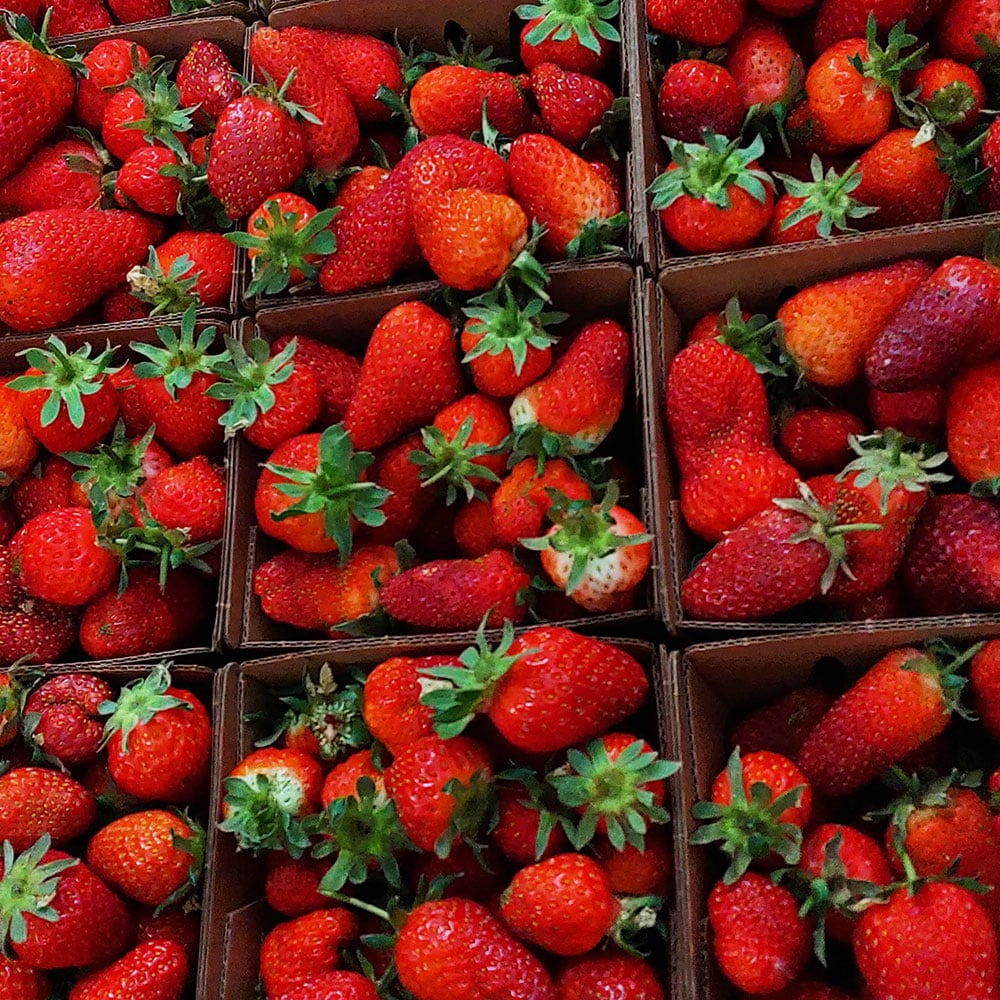 Healdsburg Farmer's Market 1