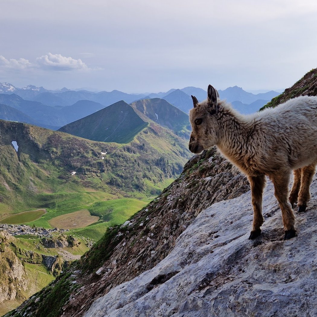 Dent d'Oche 1