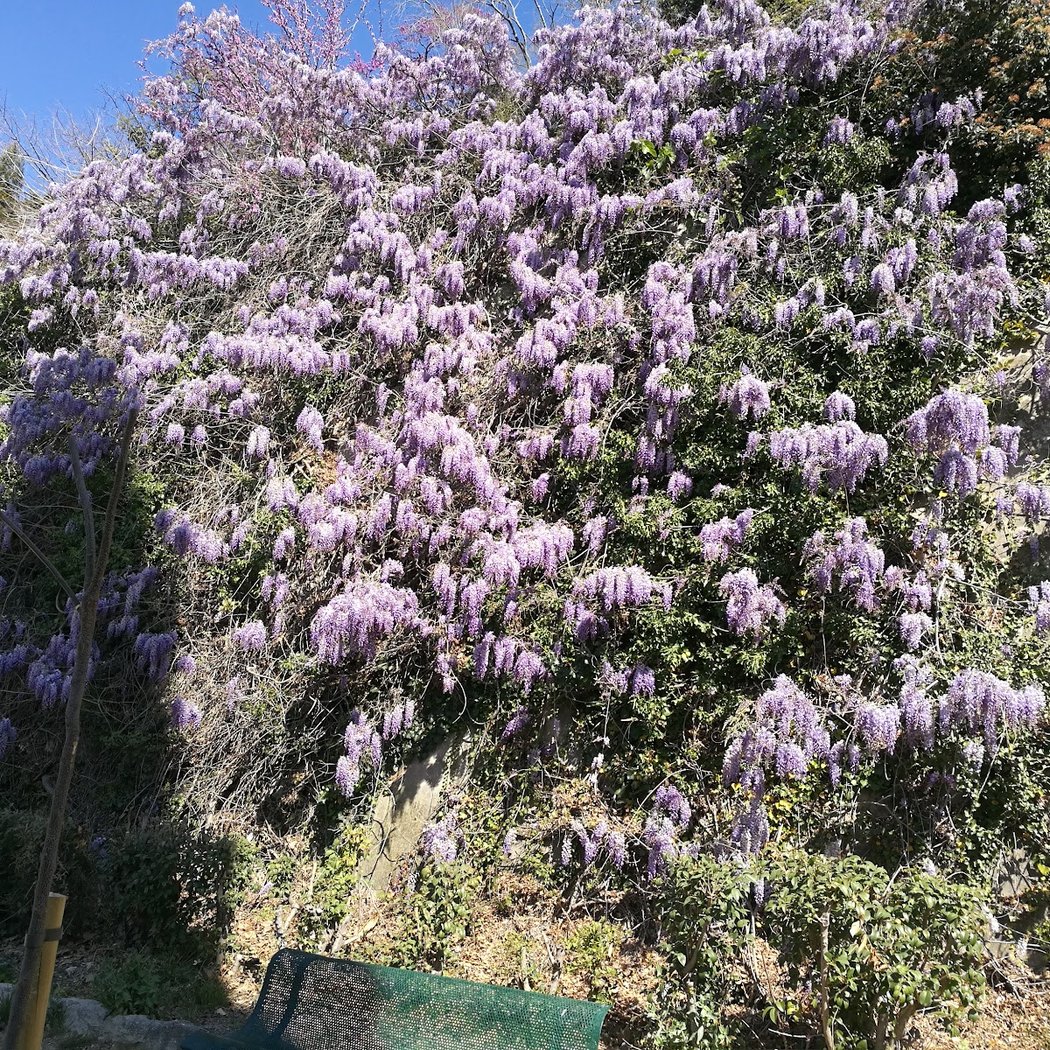 Parc Brégante 1