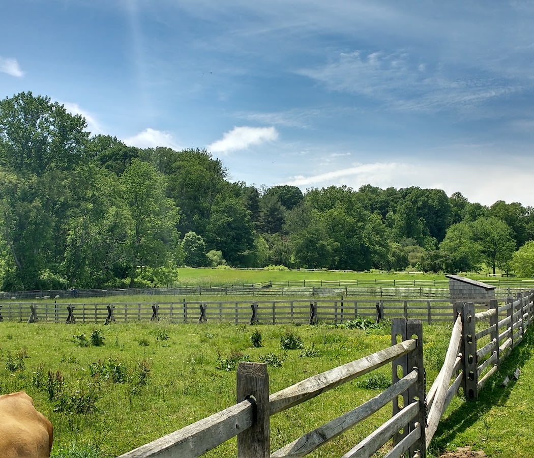 Longstreet Farm 2