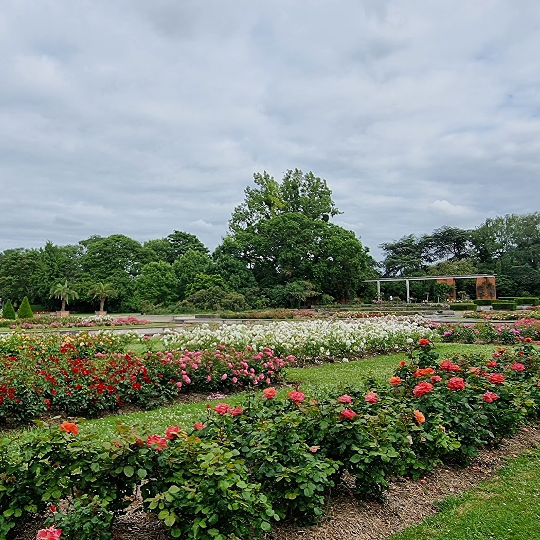 Botanical Garden 1