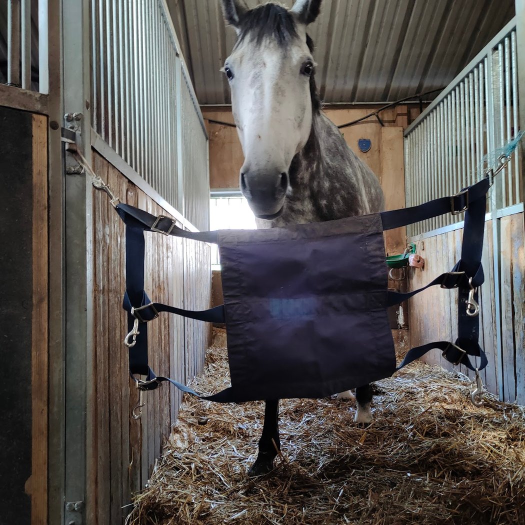 UCPA Equestrian Center Chanteraines 1