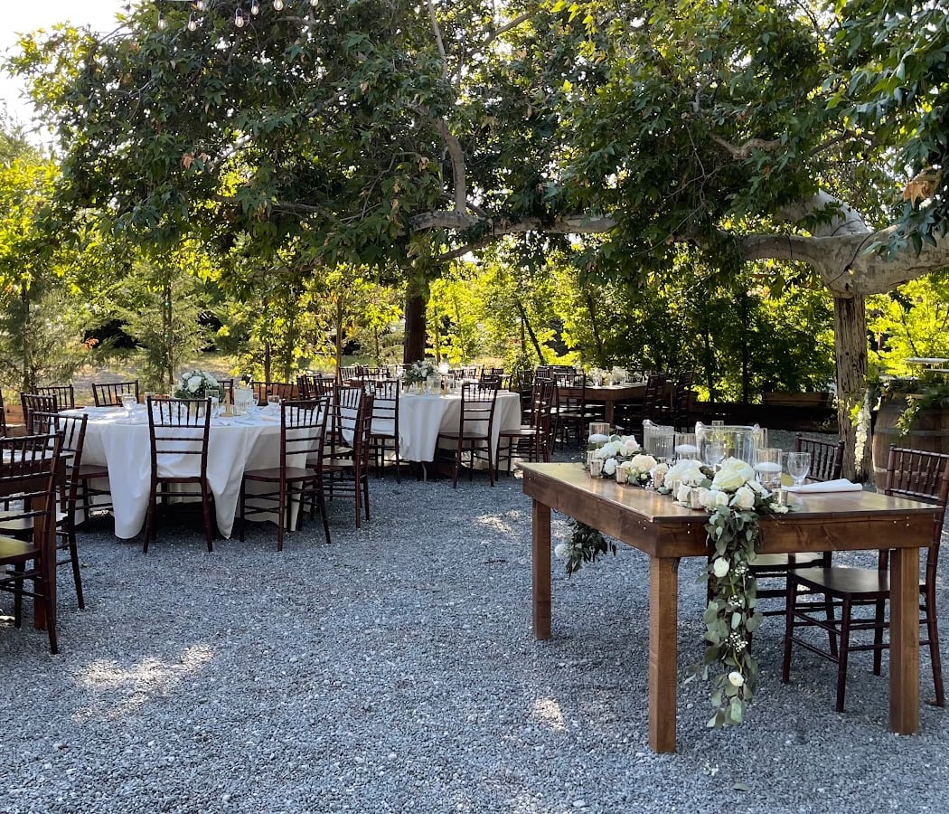 Coyote Ranch 2