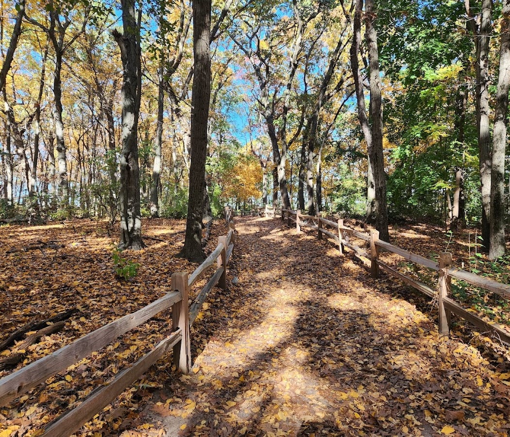 Blackstone Park Conservation District 2