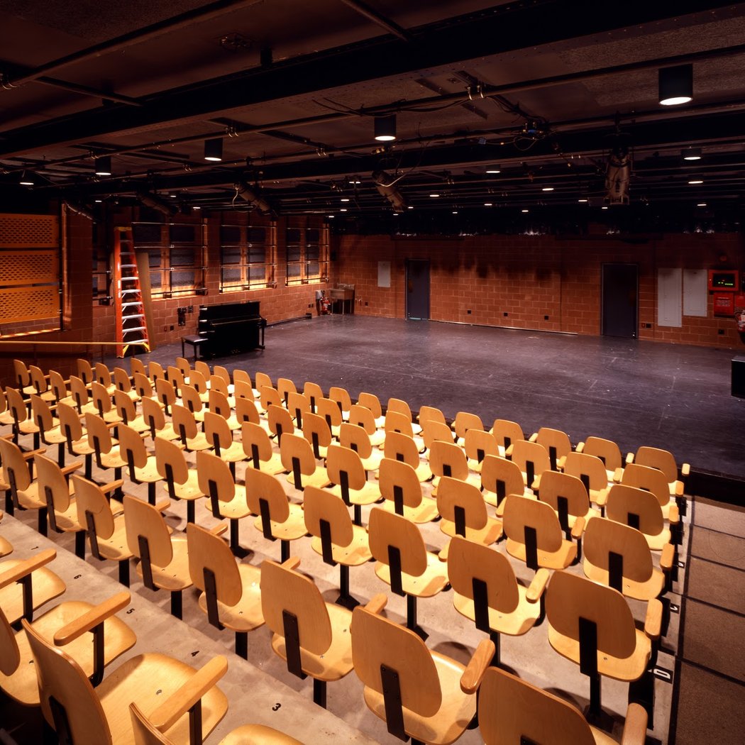 Peter Jay Sharp Theater at Playwrights Horizons 2
