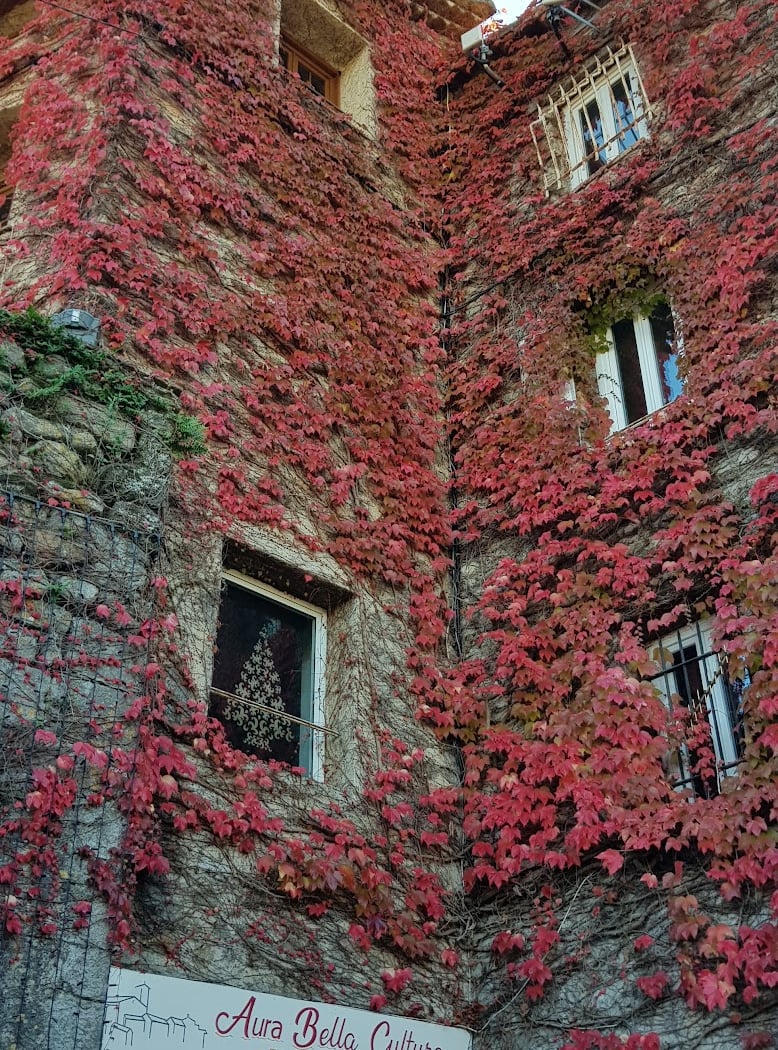 Auribeau-sur-Siagne 2