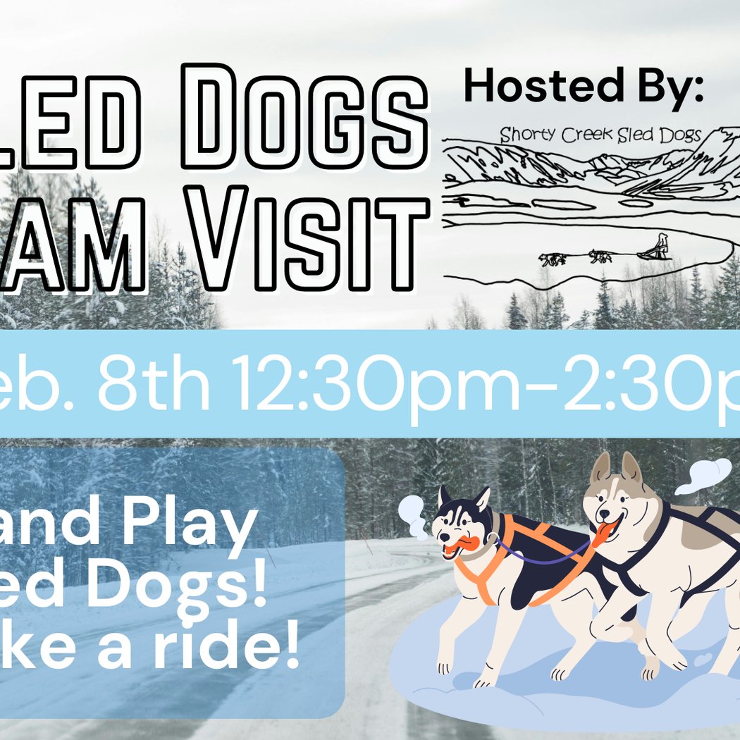 Sled Dogs Team Visit 1