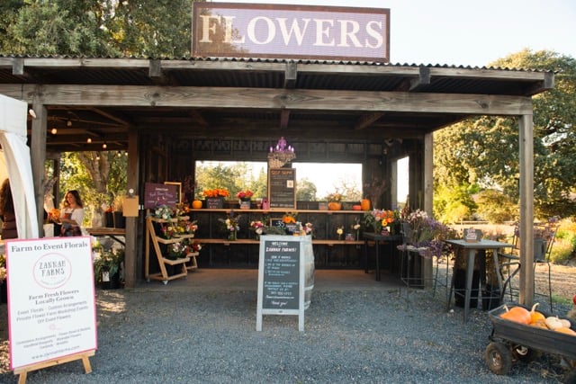 Zannah Farms 2