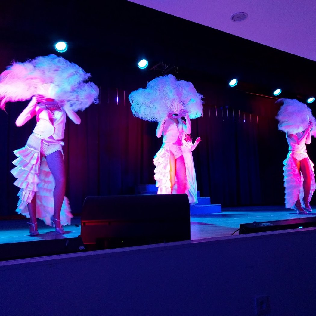 Déjeuner Spectacle "LES FOLIES DU DISCO" 4