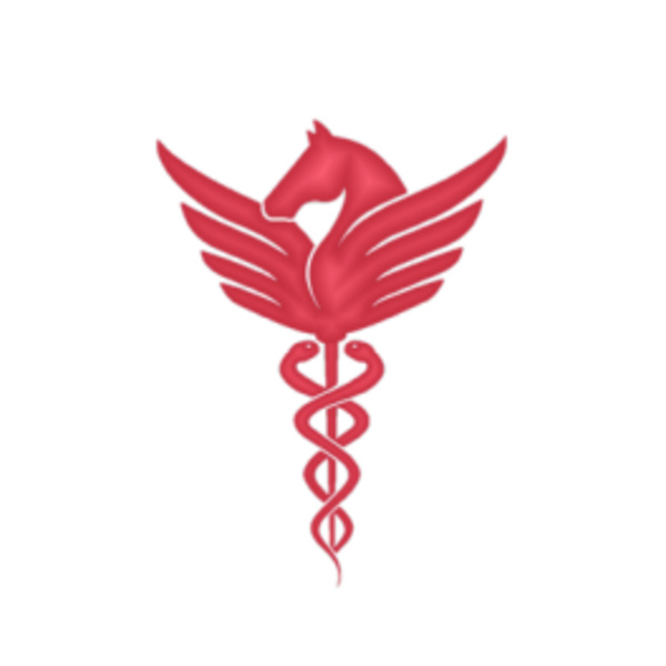 Pegasus Physician Writers & Brentano String Quartet 1
