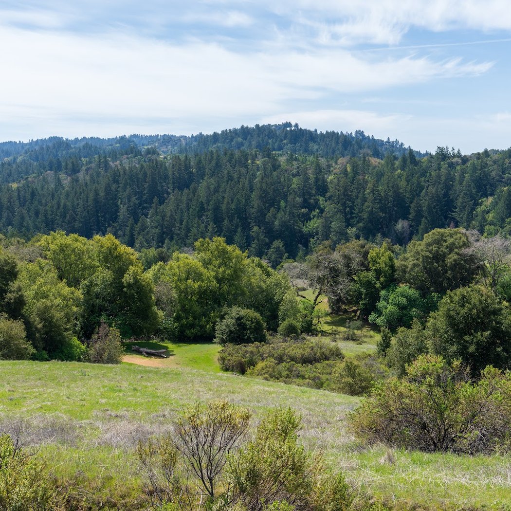 Black Mountain Backpack Camp 2
