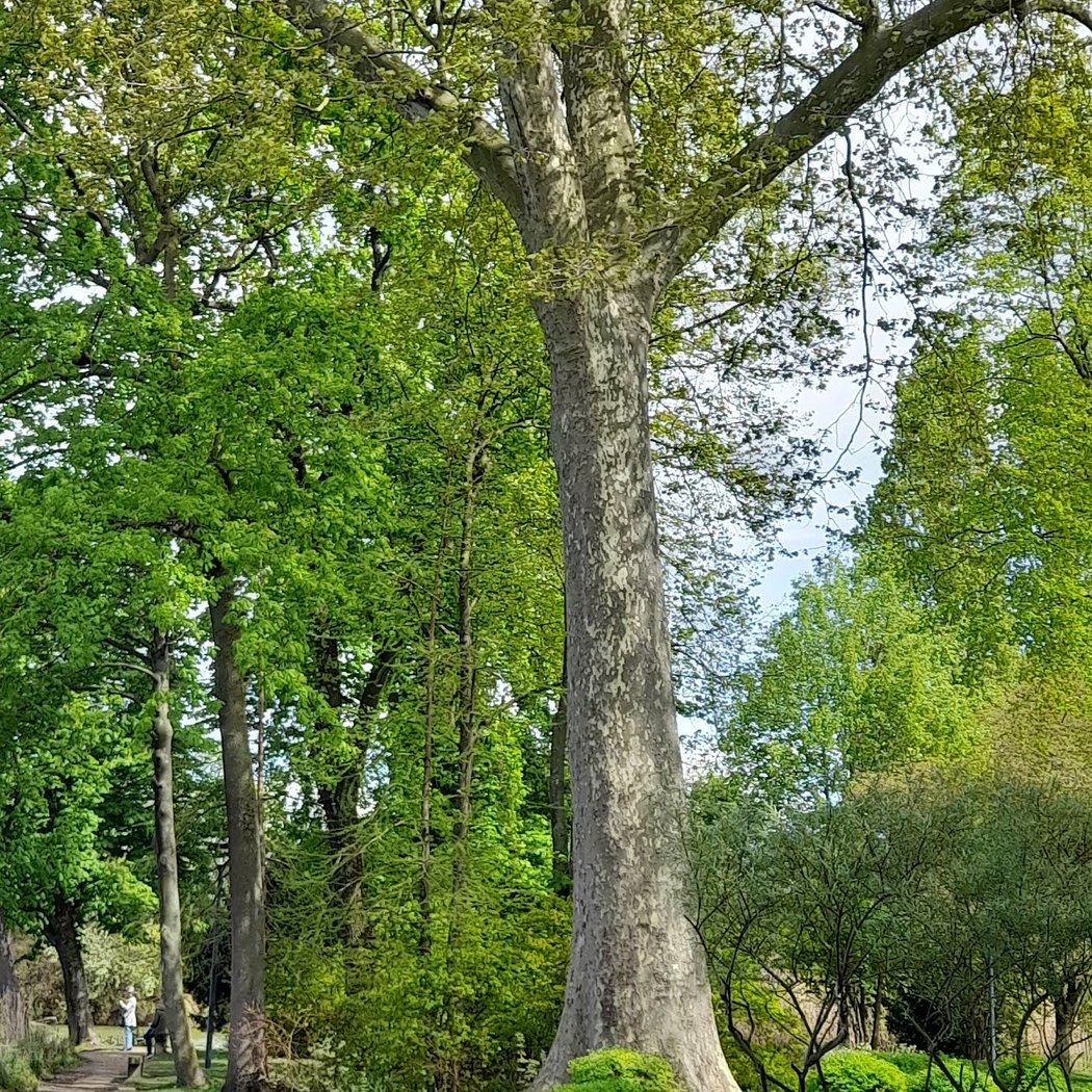 Parc des Otaries 3