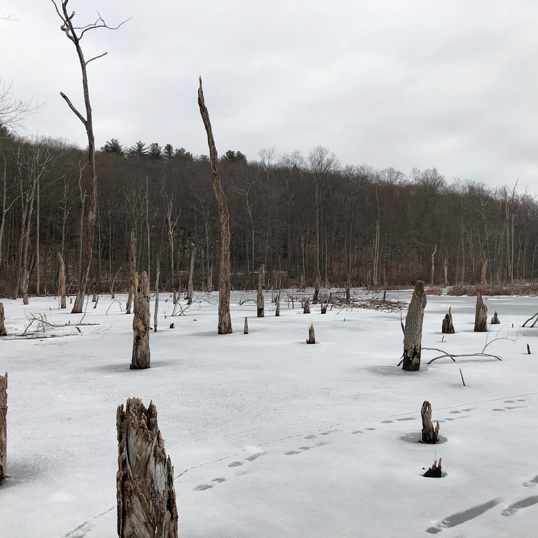 Flanders Nature Center & Land Trust 3