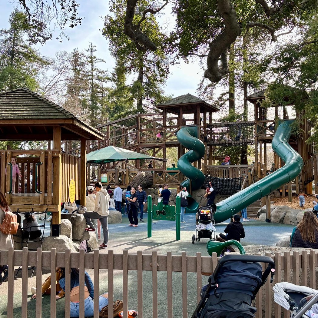 Redwood Lookout 1