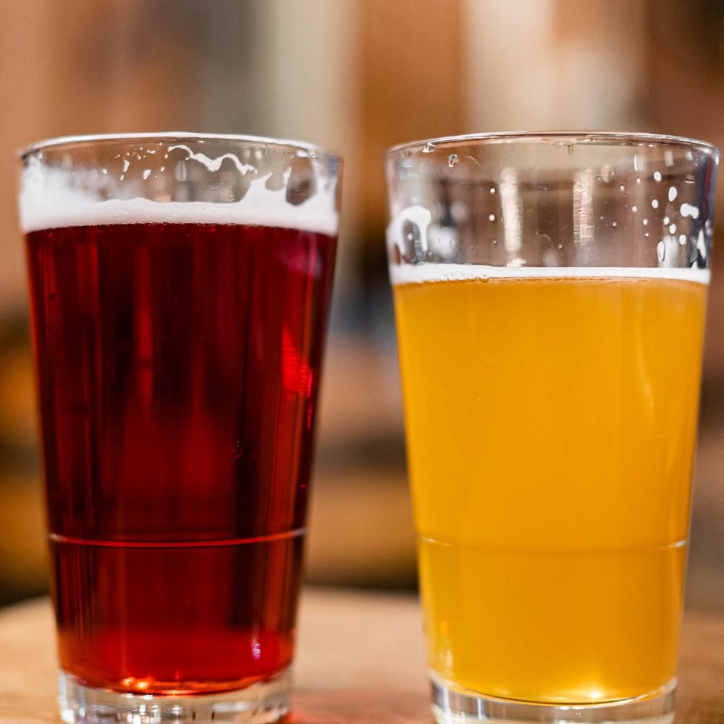 Weekly Trivia Night at Euryale Brewing 3