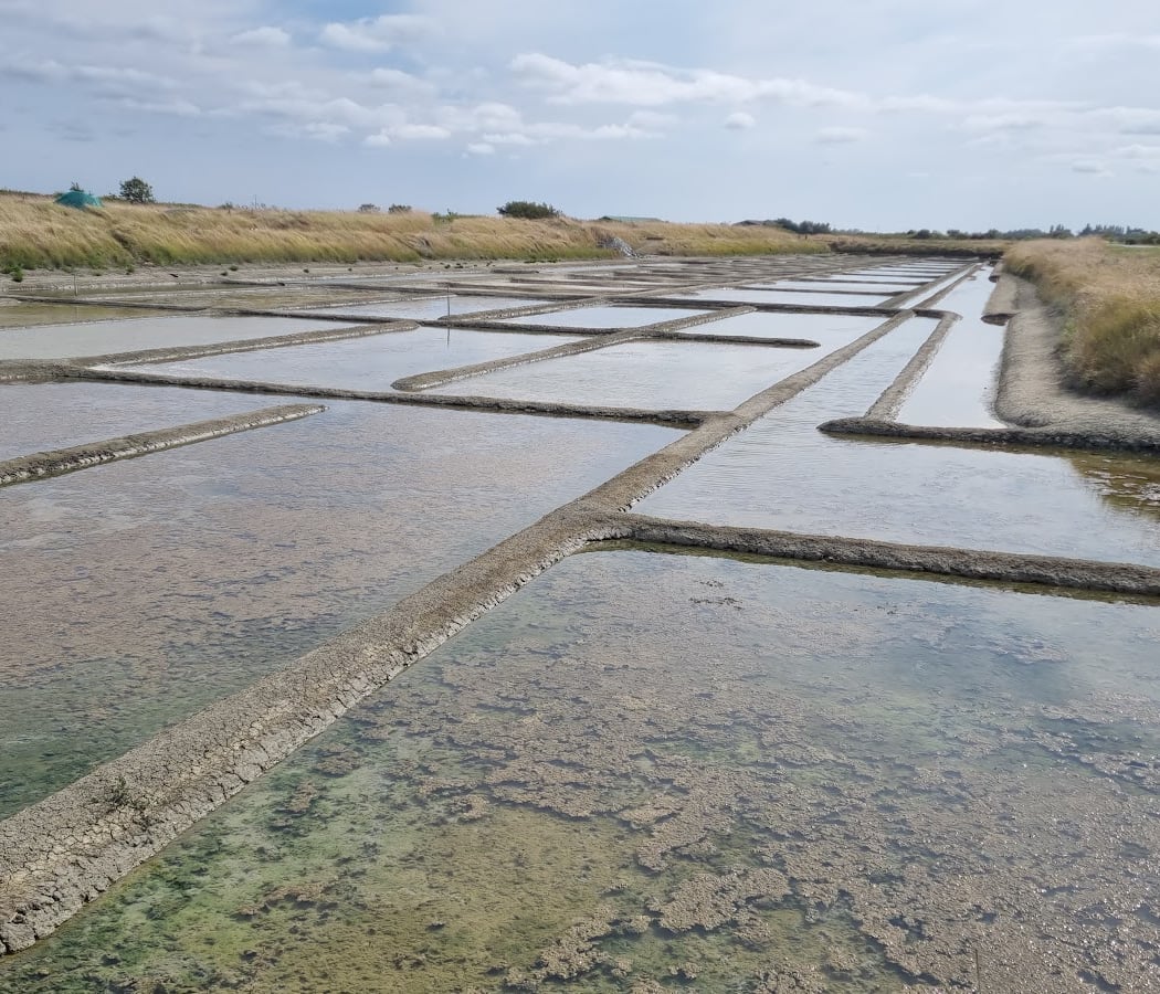 Saline "Tenue de Mareil" (vente de sel) 2