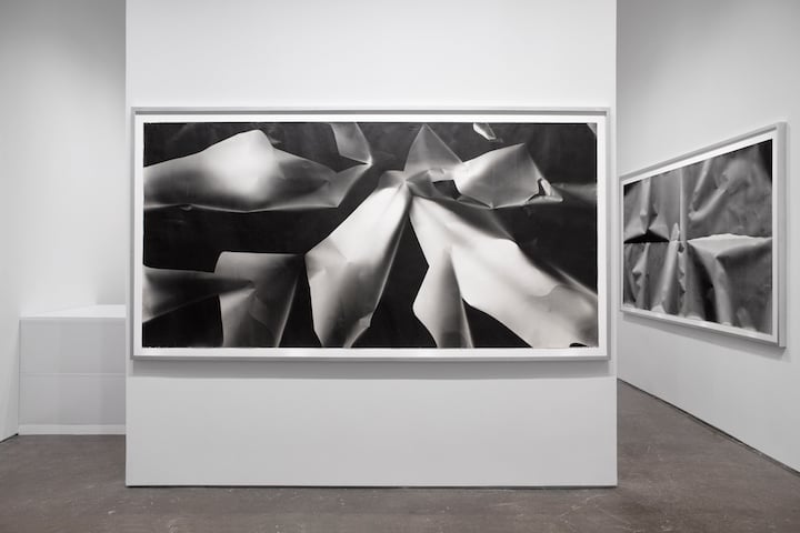 Sheila Pinkel, Pinkelgraphs: The Murals and Cyanotypes, 1974–1982 1