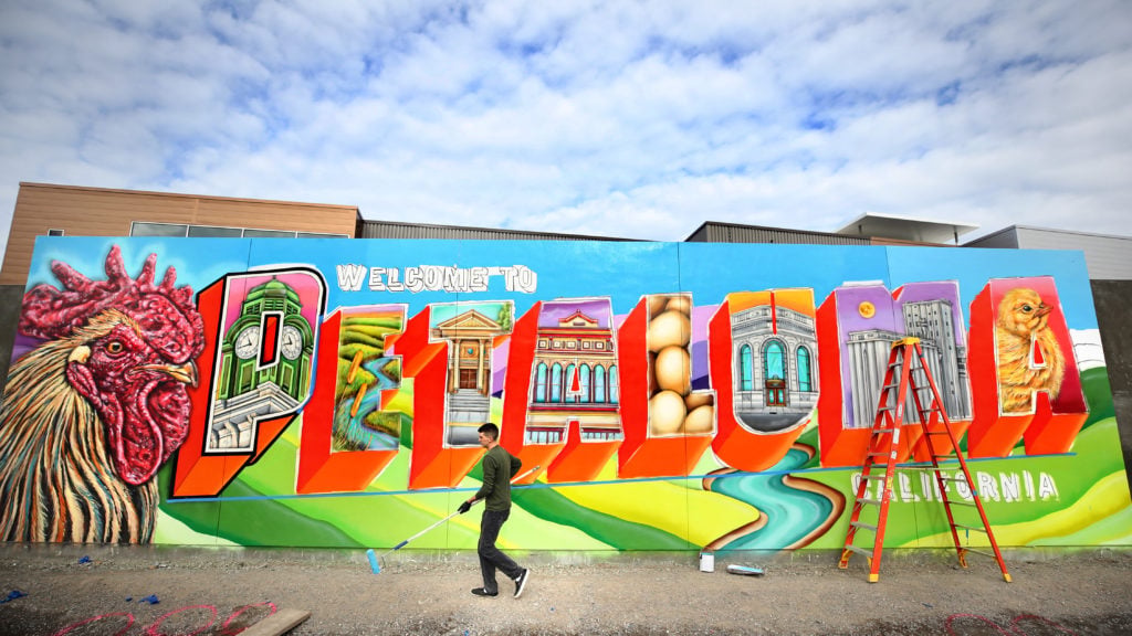 Welcome to Petaluma 3