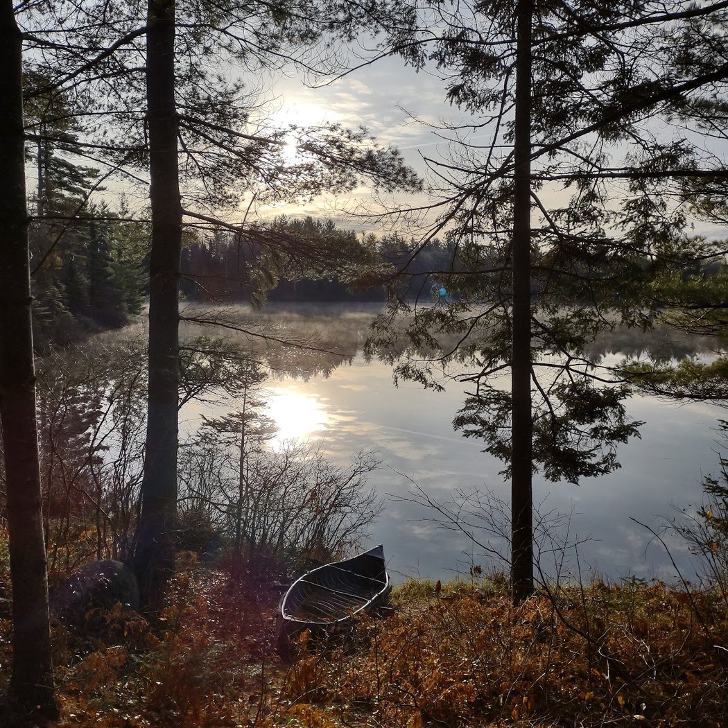 Pine Lake 2