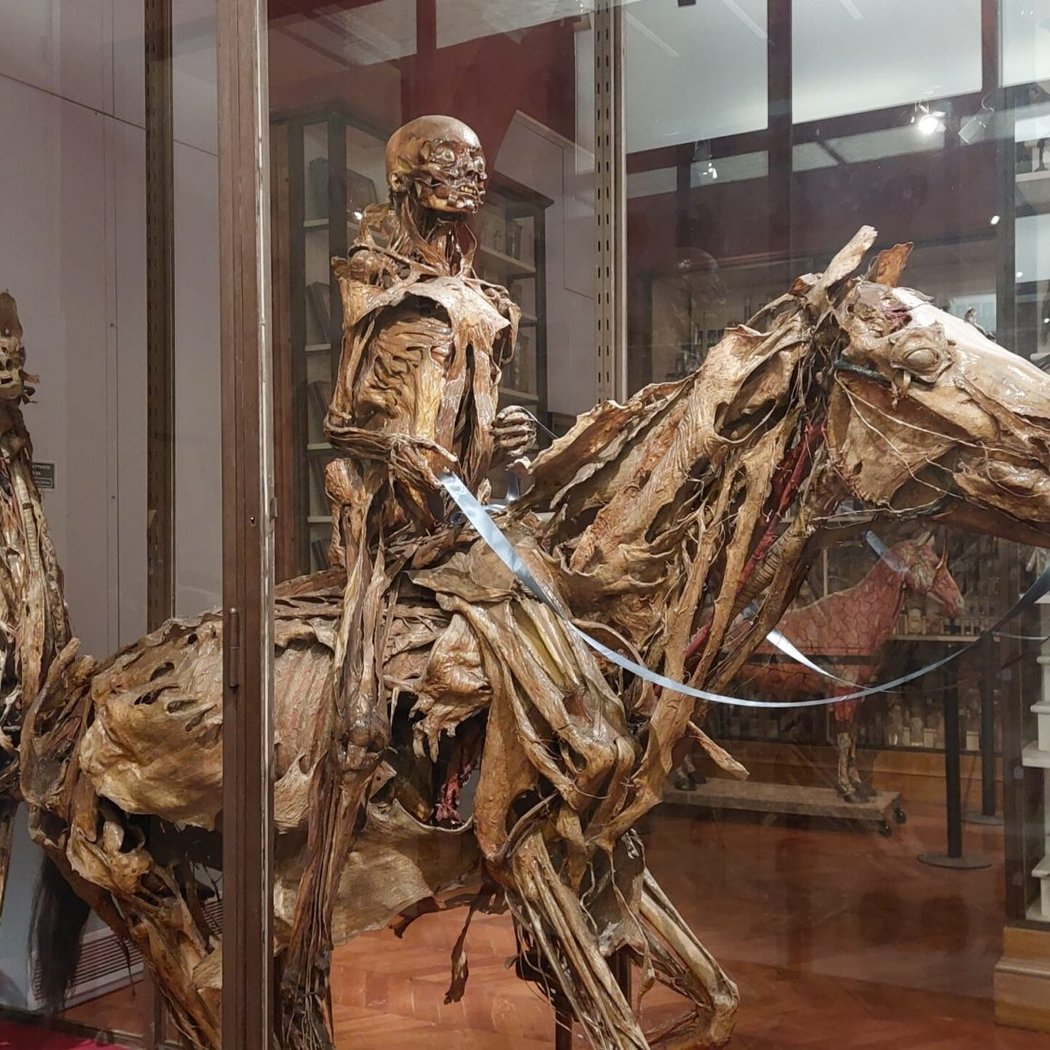 Fragonard Museum 1