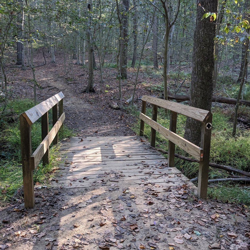 Holmdel Park 3