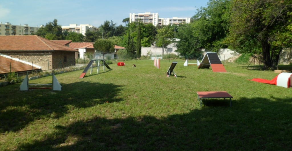 Club Canin du Soleil 2