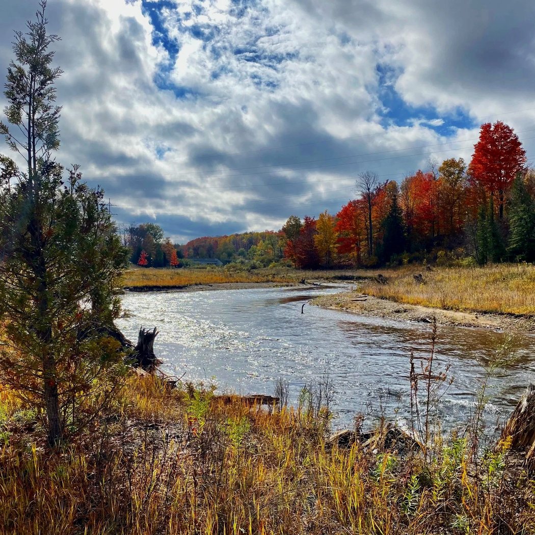 Trails & Ales - Guided Hike 2
