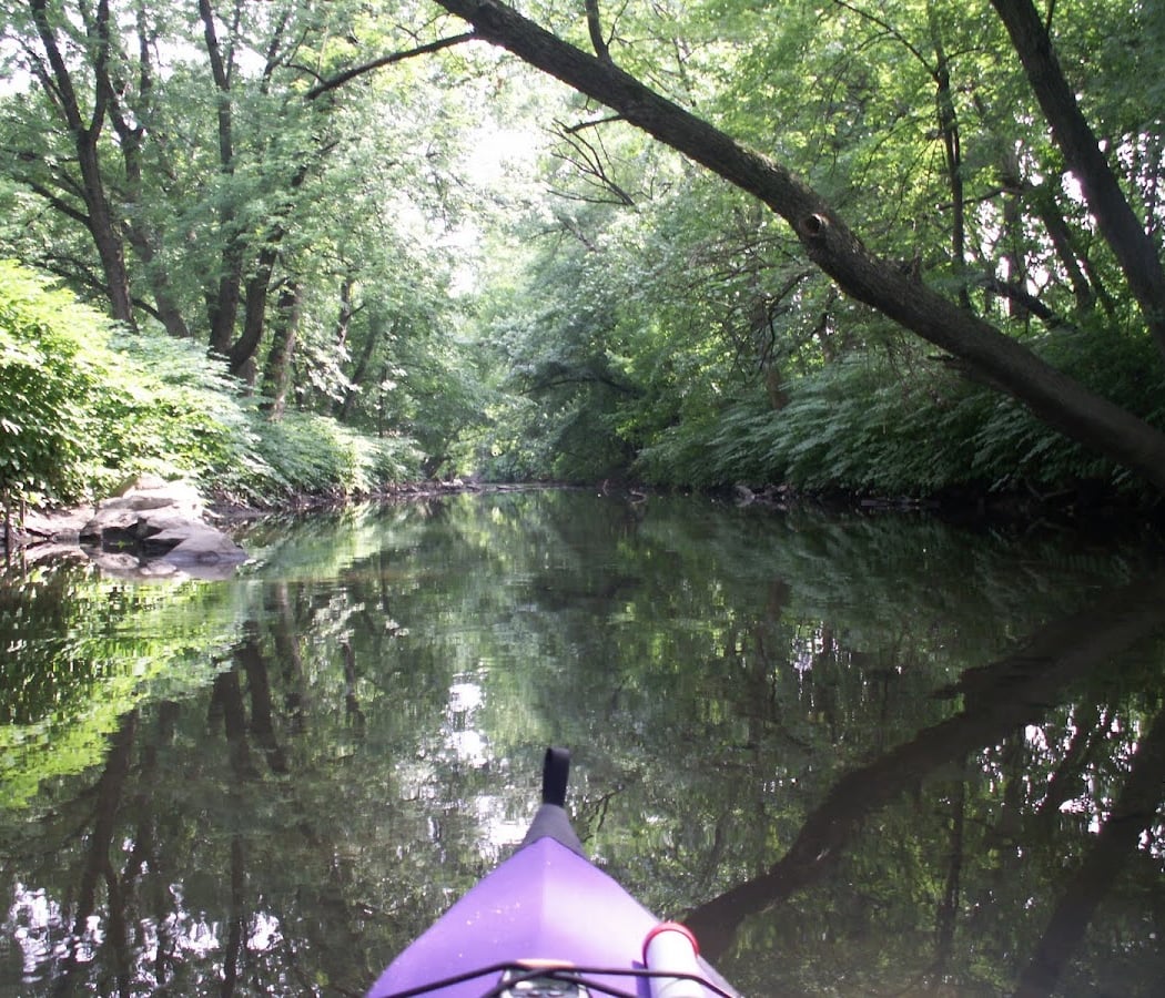 Guided Upper River Paddle 1