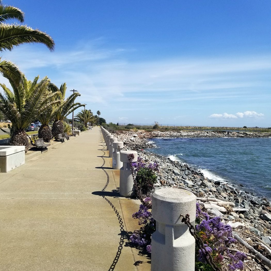 Harbor Bay Trail 2