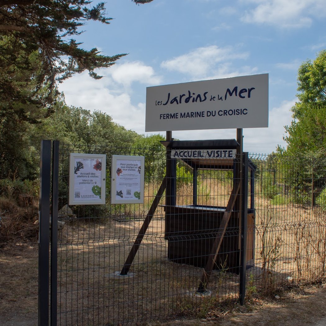 Ateliers de cueillette et de cuisine 3