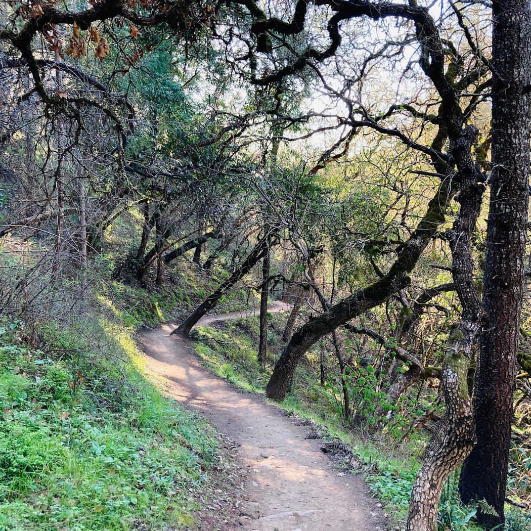 Creekside Trail 1