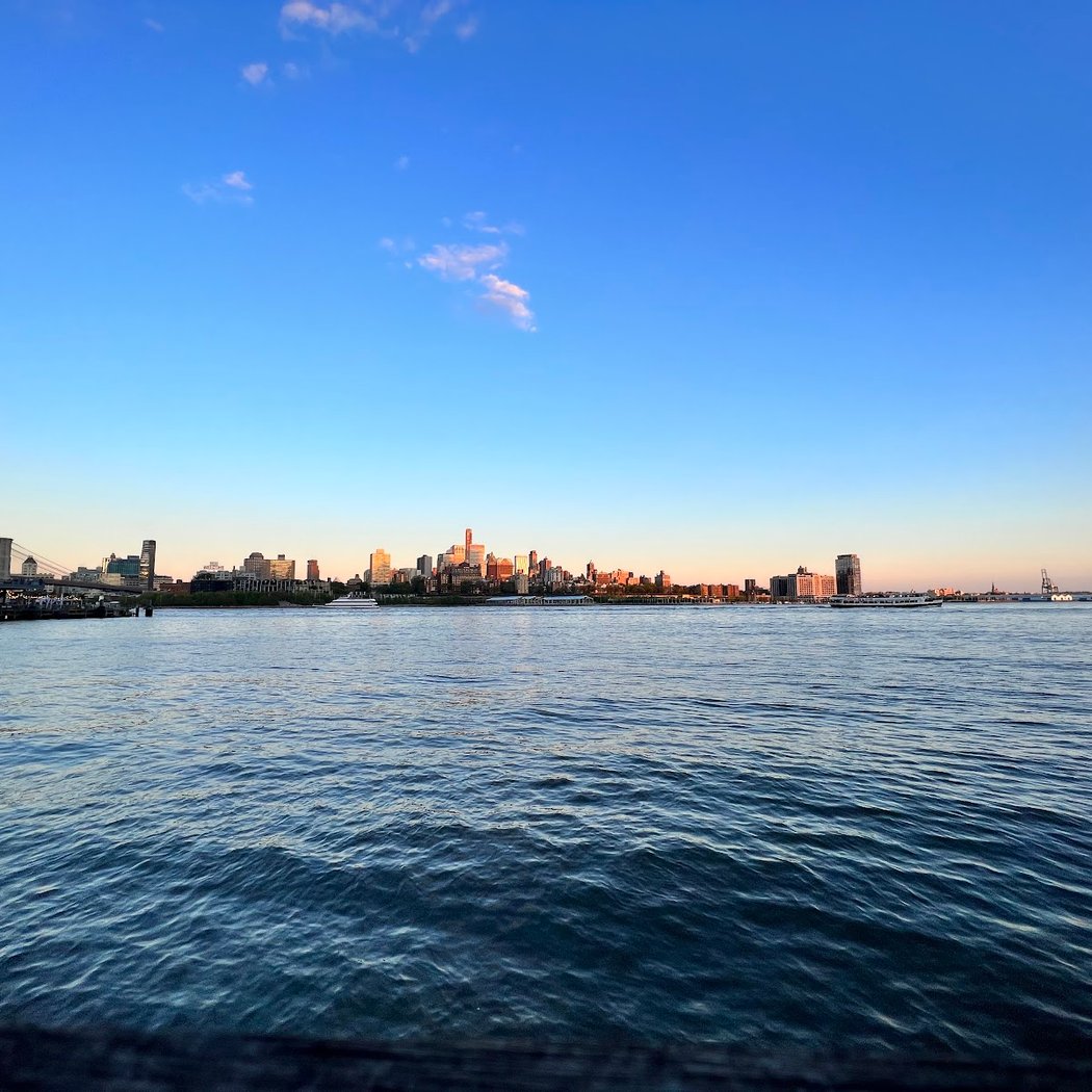Dog Park East River Esplanade South 2