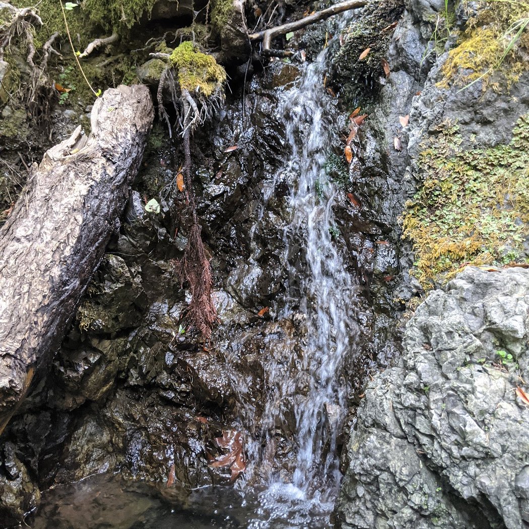 Lagunitas Creek 2