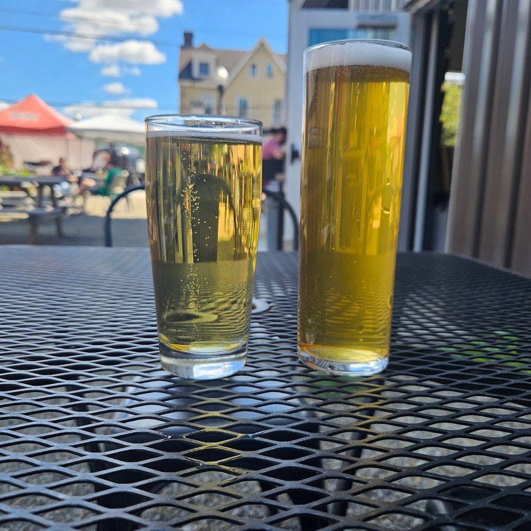 Chimney Swift Night Out: Birds & Brews