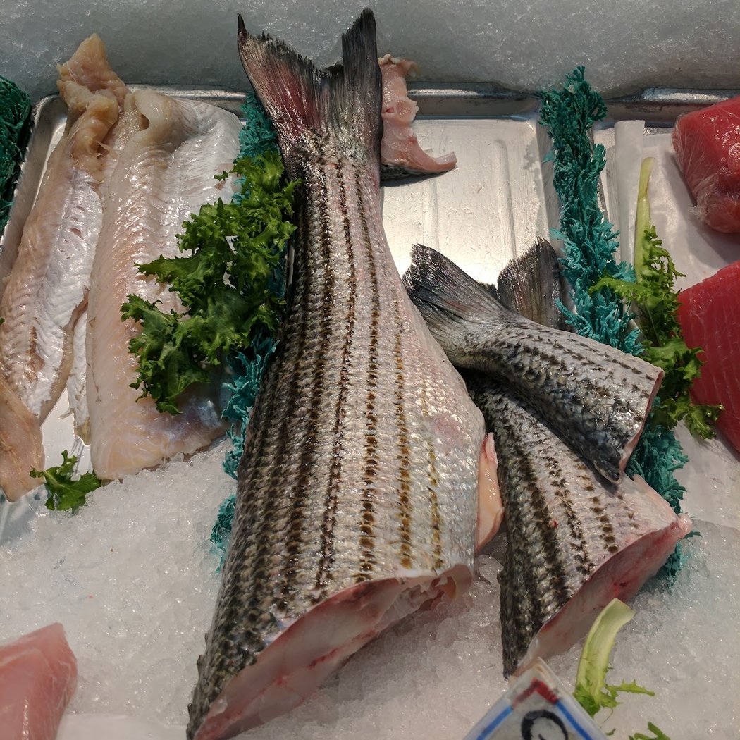 Ocean Fish Market 1