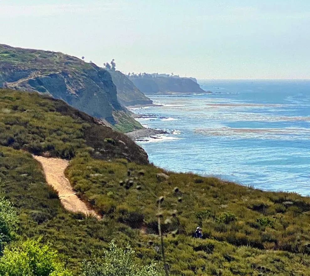 Abalone Cove Reserve Guided Walk 1