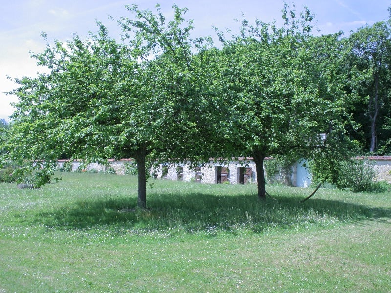 Ognon Le Potager Fleuri 3