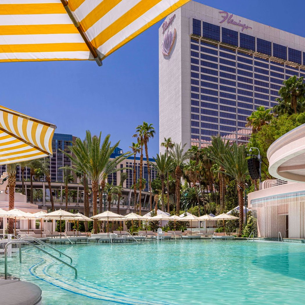 Flamingo Pool at Flamingo Las Vegas 2