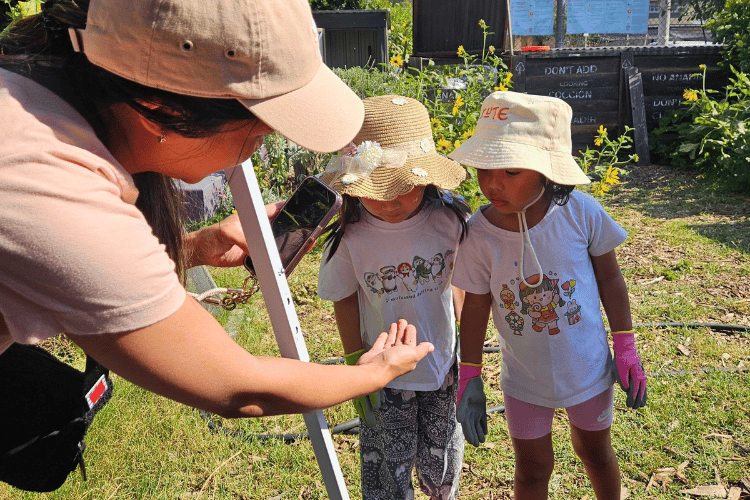Info Session: Community Composting for Green Spaces - Cycle 5 3