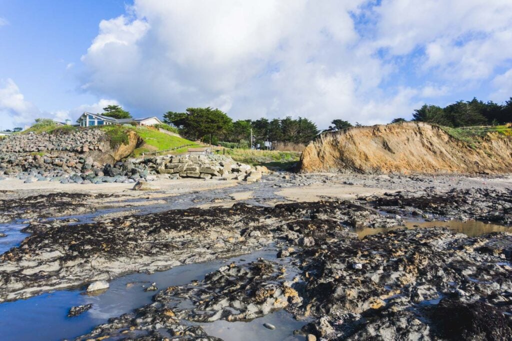 J V Fitzgerald Marine Reserve 2