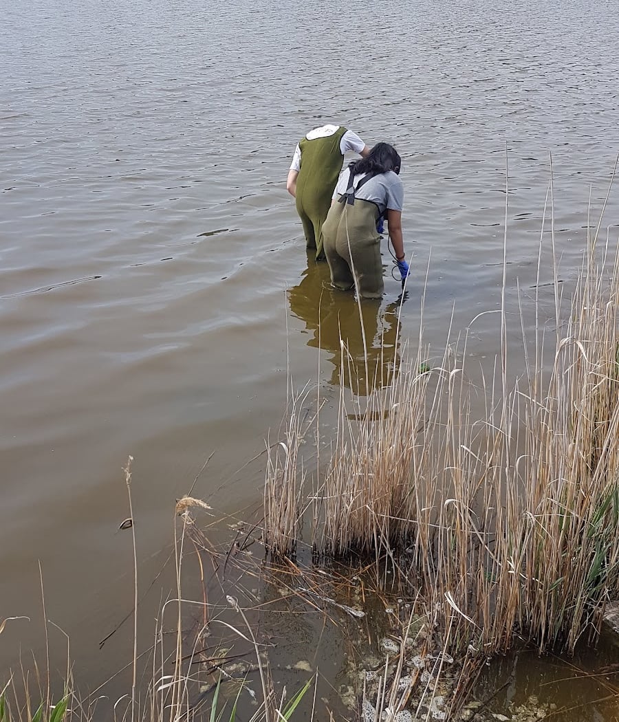 Éco-balade « Découverte des Salins de Rassuen » 2