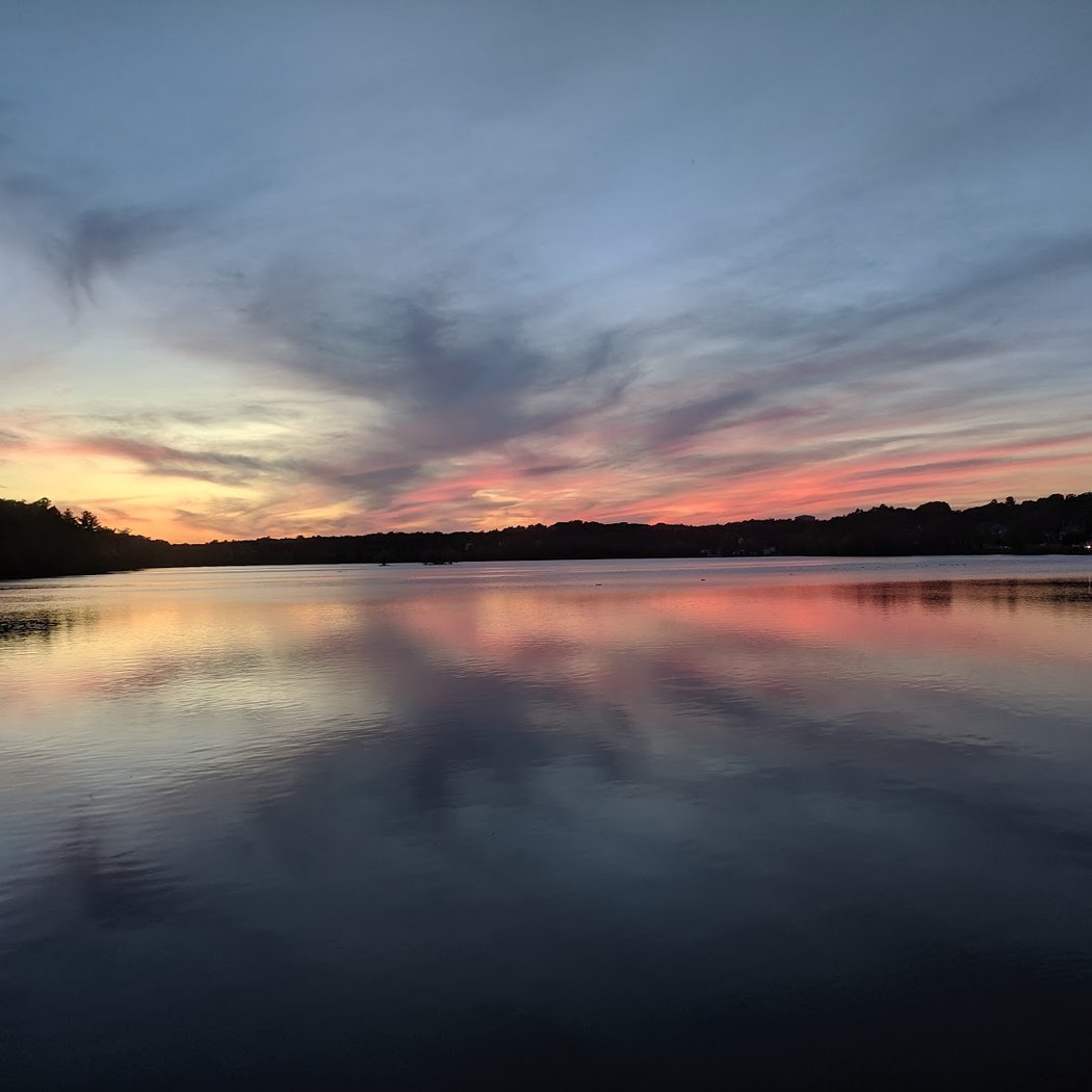 Fall Birding at Horn Pond 2