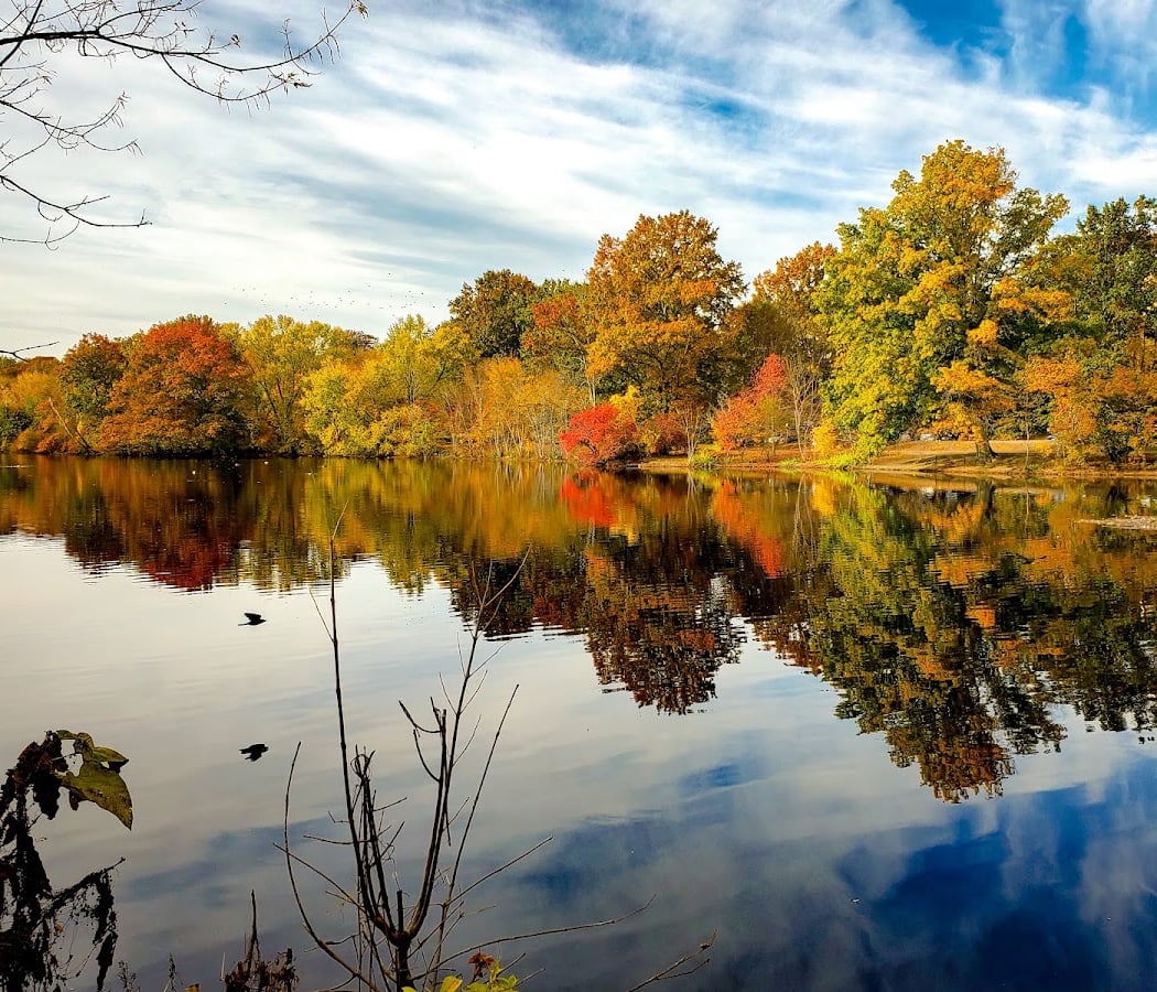 Olmsted Park