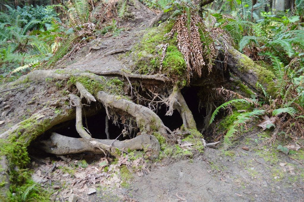 Rockefeller State Park Preserve 2