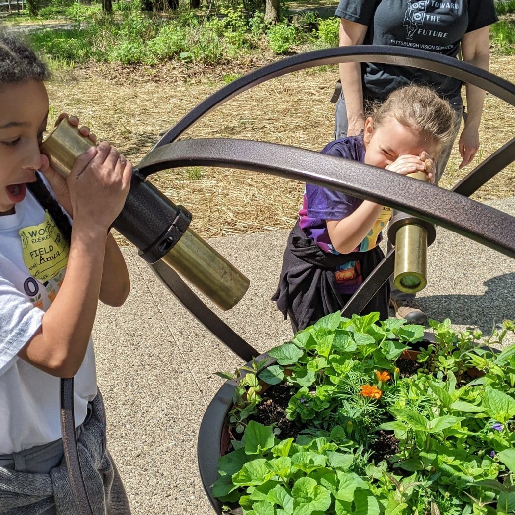 Discovery Time: Playful Plants 2