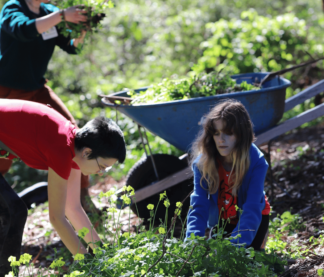 Saturdays in the Soil 3
