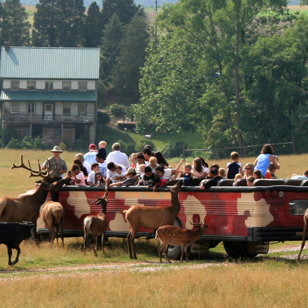 Lake Tobias Wildlife Park 2
