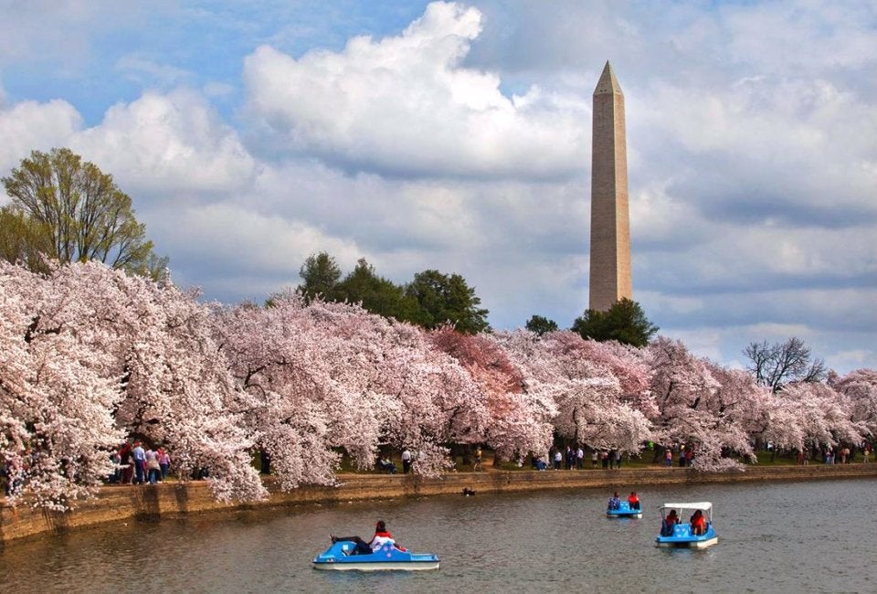 National Mall 1